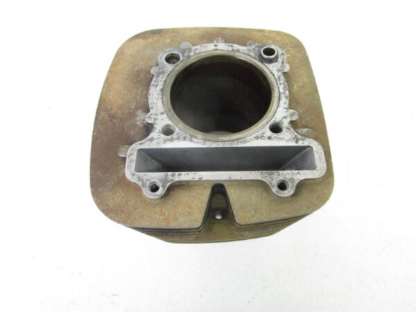 00 Yamaha Big Bear 400 4x4 Cylinder Jug 5FU-11310-01-00 2000-2012