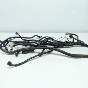 03 06 Polaris Magnum 330 4x4 Main Wire Wiring Harness Loom