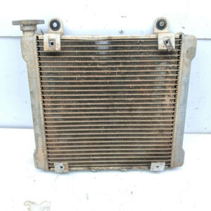 05 Can Am DS650 Radiator 709200145