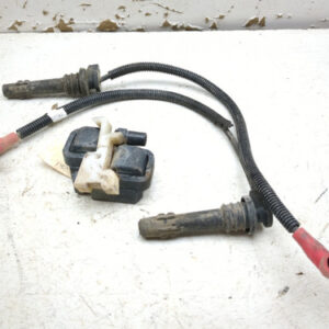 17-21 Polaris Ranger 1000 XP Ignition Coil Plugs Packs