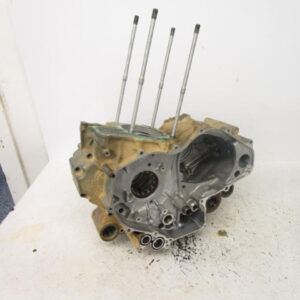 2001-2004 Honda TRX 500 FA Rubicon Crankcases Cases 11100-HN2-000
