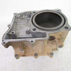 2001-2004 Honda TRX 500 FA Rubicon Cylinder Jug 12100-HN2-000