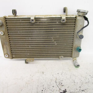 2003-2008 Arctic Cat Suzuki LTZ DVX 400 Radiator 3413-030