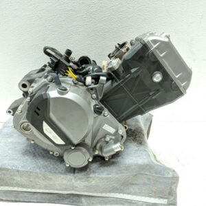 22 CFMoto 300NK Engine Motor GUARANTEED 4,919 Miles Tests Great!
